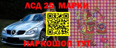 сатива Аргун