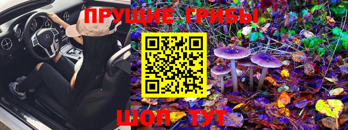 Псилоцибиновые грибы MAGIC MUSHROOMS Балаково