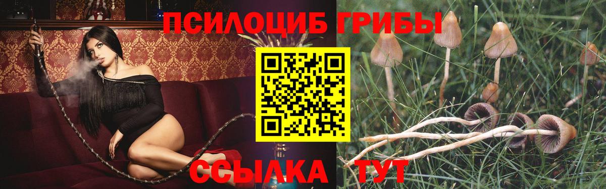 Псилоцибиновые грибы Magic Shrooms  Вход с VPN  Псилоцибиновые грибы MAGIC MUSHROOMS  Балаково 